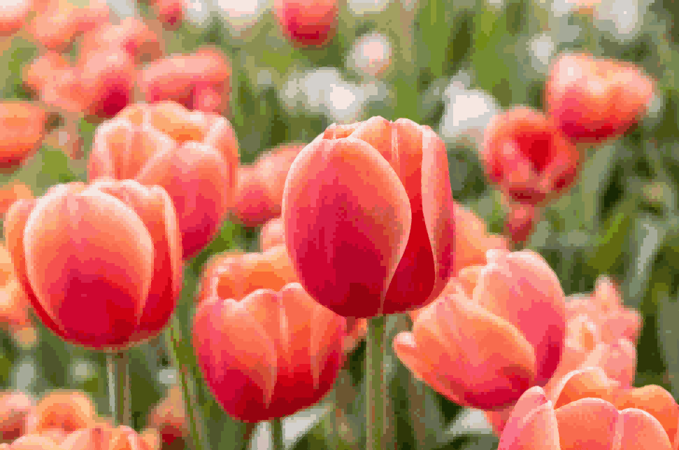 海关数据,EVO视讯 EVO真人海关数据,荷兰海关数据