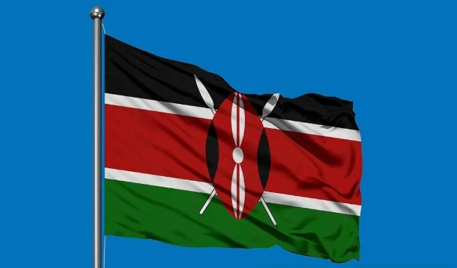 肯尼亚海关数据查询平台（附免费试用查询名额）