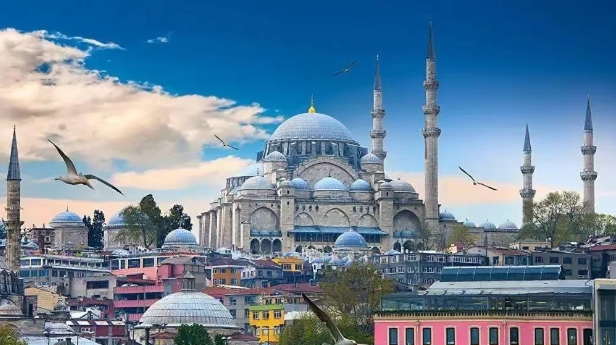 土耳其进口产品